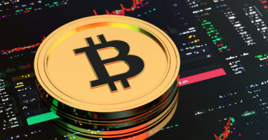 Should I invest in crypto market when it is crashing?